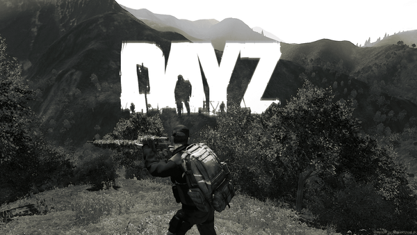 How To Cure Sickness In Dayz